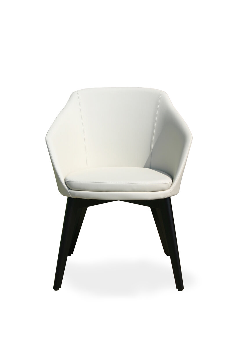 Busetto P262L Modern armchair with beech wood legs, available in a choice of finishes 4