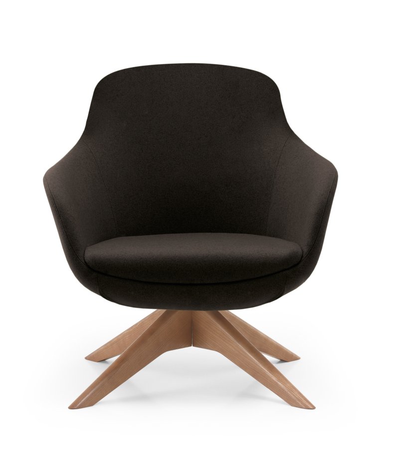 Busetto P285G Modern lounge armchair with ash wood swivel base, available in a choice of finishes 1