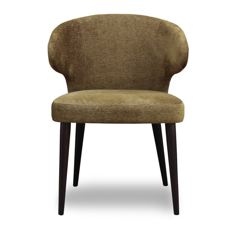 Busetto S023 Modern armchair with solid beech or ash wood legs 4